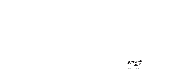 starry sky photo session with smartphone｜スマホで星空撮影会